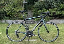Bianchi Intrepida 2017 - 60cm