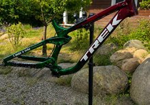 Trek session r3  custom uniton team