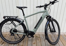 Cresent Elder 50