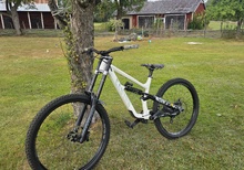 Canyon Torque DH CLLCTV