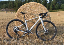 Mondraker ARID R
