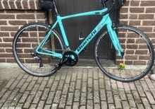 Bianchi intenso 2019