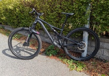 Stumpjumper Alloy 2023