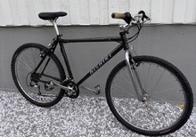 NISHIKI Pinnacle Designed by Cheeseborough