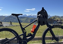 Santa Cruz Bronson