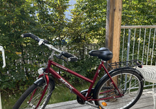 Rex Gigabike, women's city bike, red, 7-speed