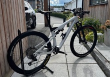Allebike Alpha Polestar