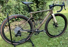 Wilier Rave SL Small.