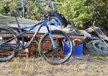 phenum C10 by Ceetec XC