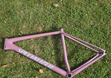 Specialized Epic hardtail