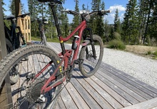 Giant Reign SX 29 -2020