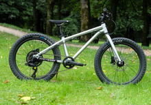 Early Rider 20"