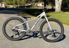 Trek Roscoe 24”