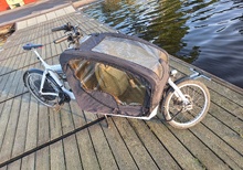 Bullitt
