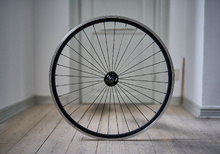 Fårrådsrensing: Fixie hjulset