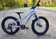 Trek Roscoe 20"