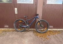 scott contessa active 40