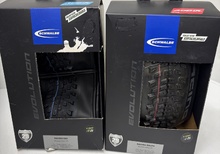 Schwalbe Racing ray och Racing ralph 29"