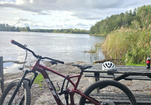 Mtb-gt-l