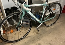 Bianchi Dama Bianca
