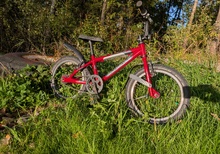 Islabikes Cnoc 16