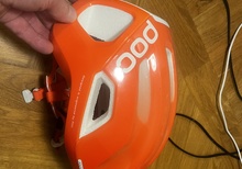 POC Ventral tempus