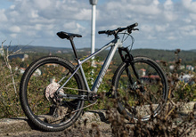 Kolfiber Hardtail MTB - Cube Access Pro C62 2022