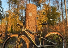 Specialized S-Works Epic 29 World Cup 2014 – M