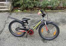 Specialized Riprock Coaster 20"