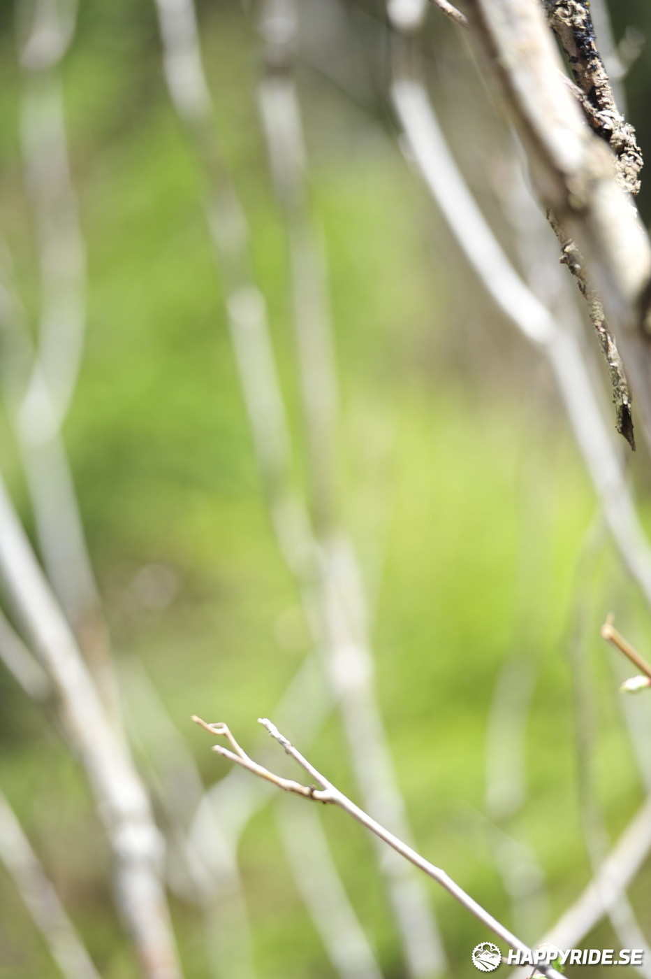 Bild från Billingeracet 2022