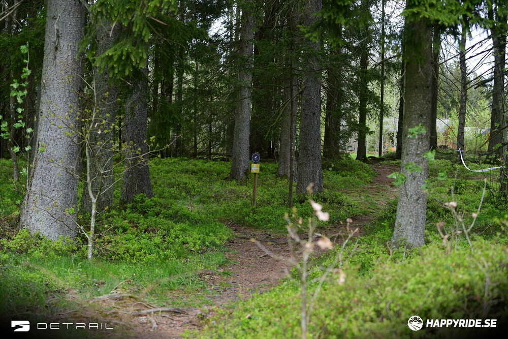 Bild från Billingeracet 2025 detrail