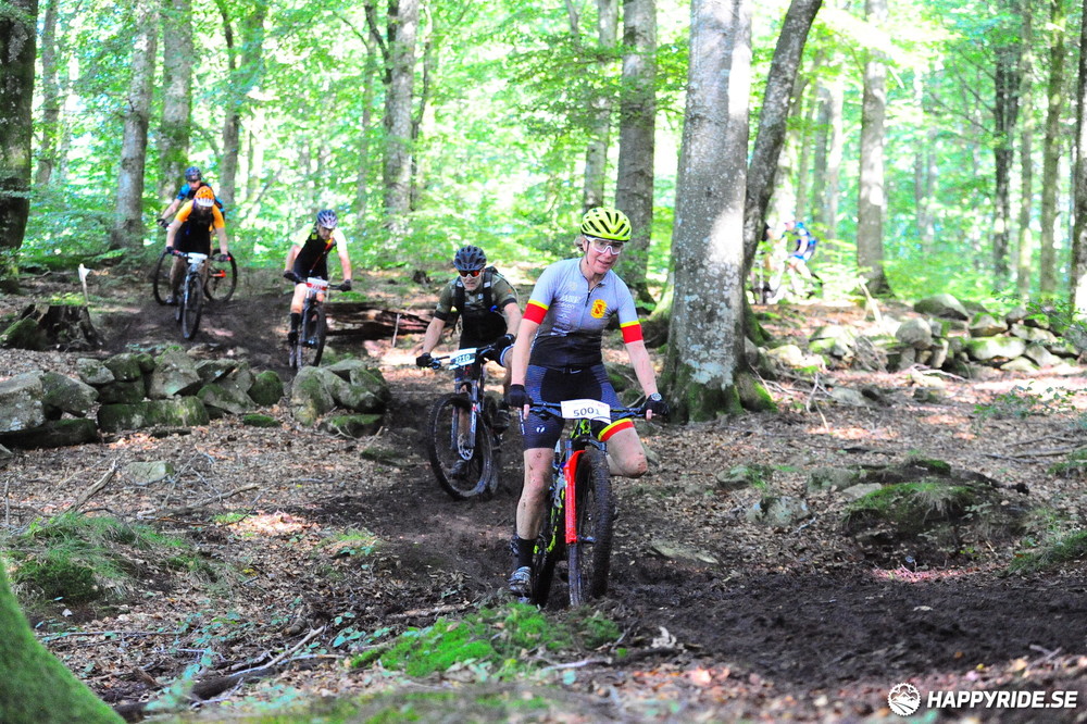 Bild från Bockstensturen 2023