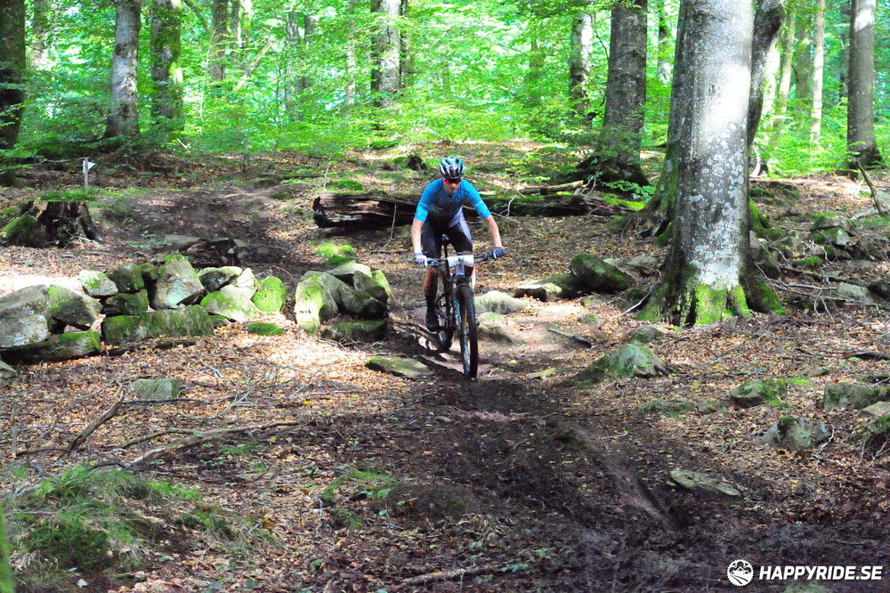 Bild från Bockstensturen 2023