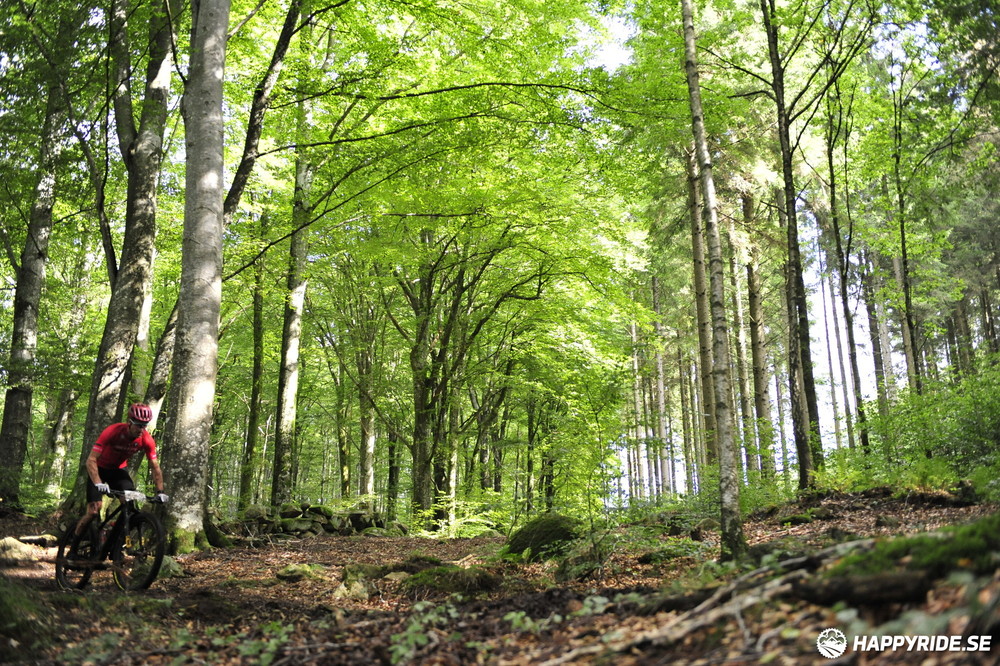Bild från Bockstensturen 2023
