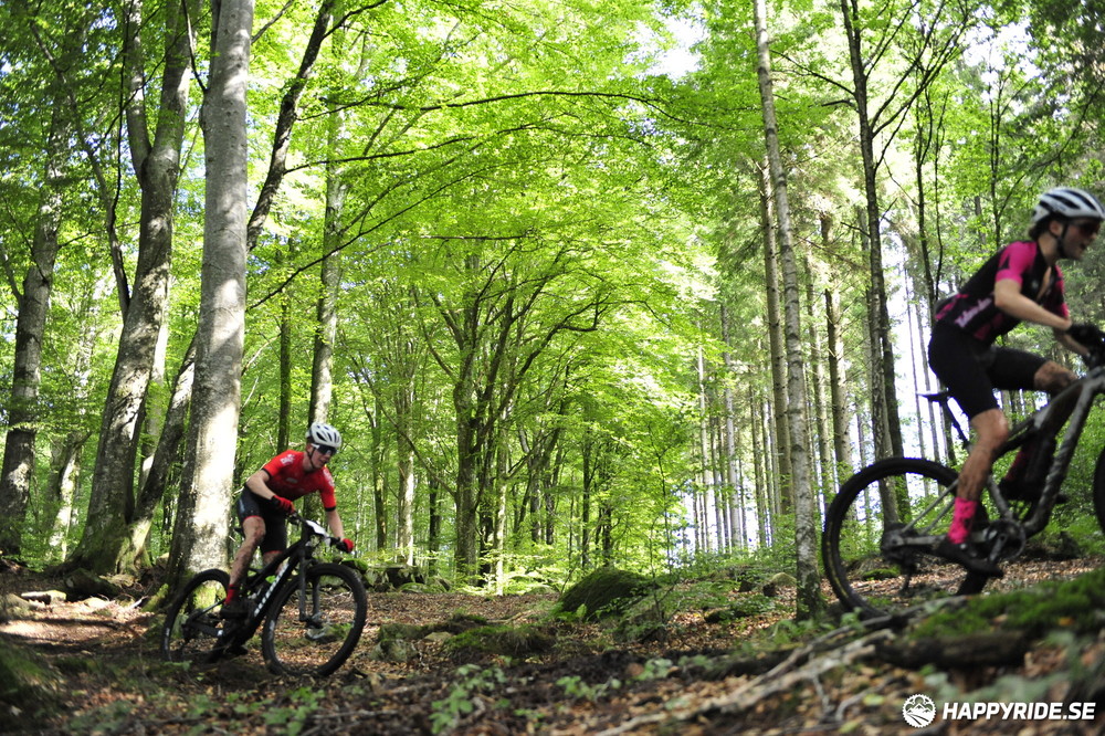 Bild från Bockstensturen 2023