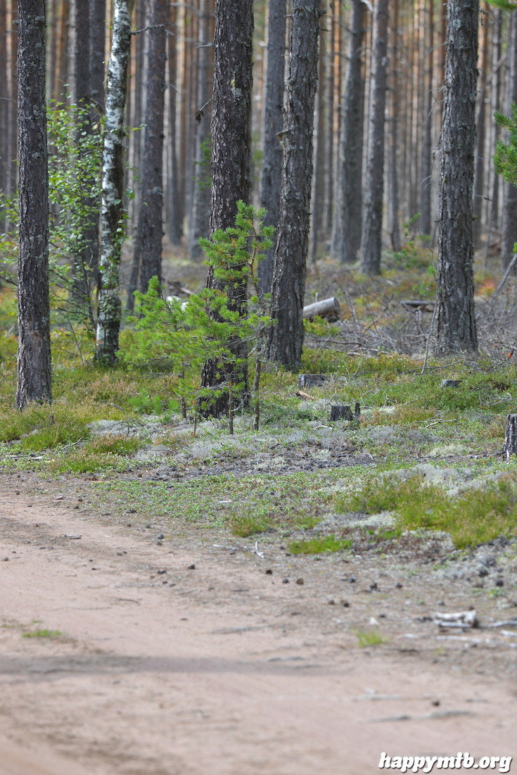 Bild från Cykelvasan 2014 - 45 km