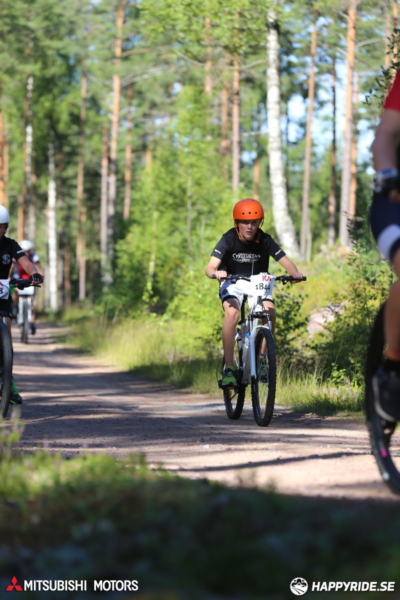 Bild från Cykelvasan 2017 - 30 km