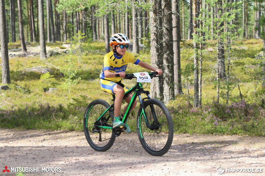 Bild från Cykelvasan 2017 - 45 km