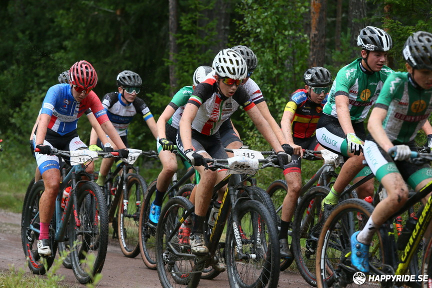 Bild från Cykelvasan 2019 (30km)