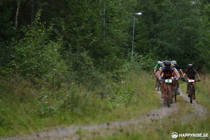 Bild från Cykelvasan 2019 (90km)