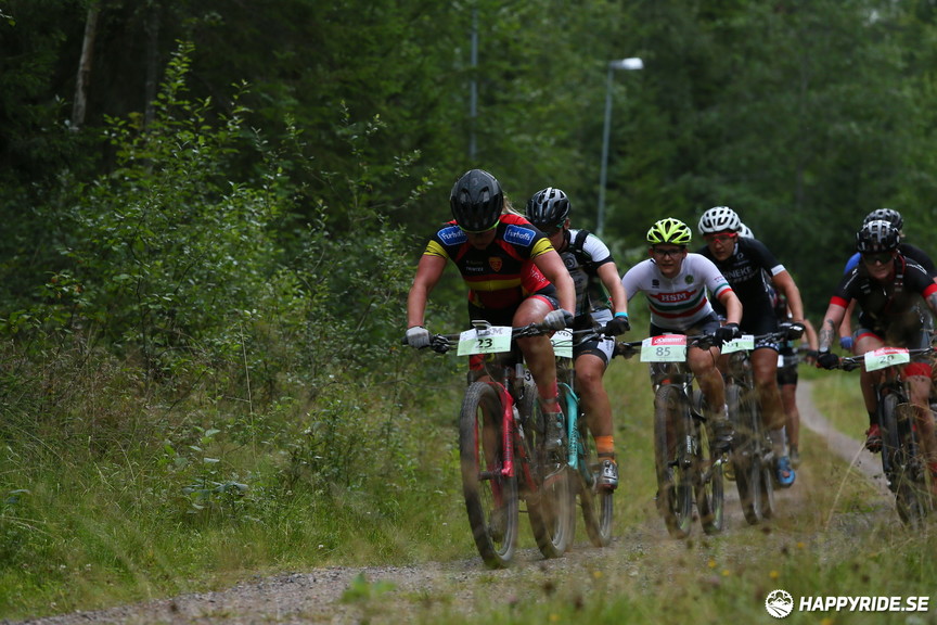Bild från Cykelvasan 2019 (90km)