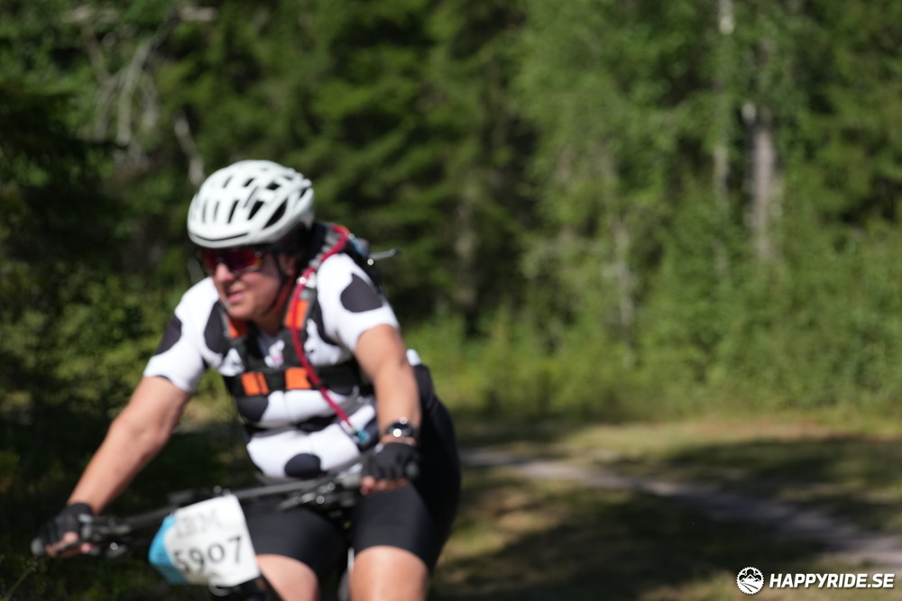 Bild från Cykelvasan 2022 (90km)