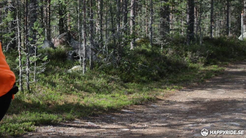 Bild från Cykelvasan 2024