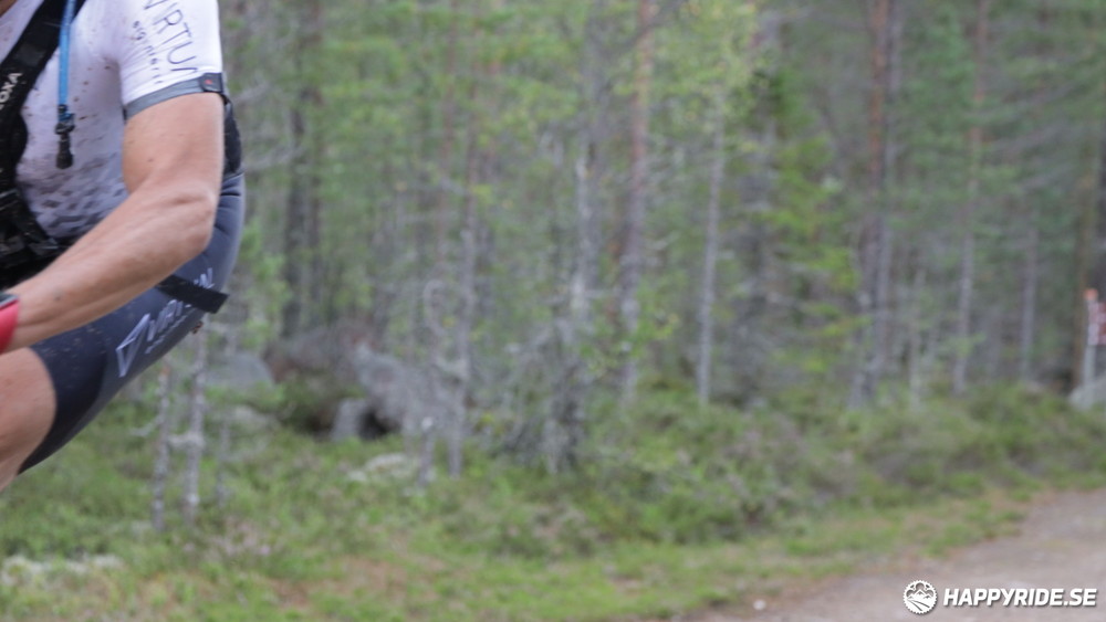 Bild från Cykelvasan 2024
