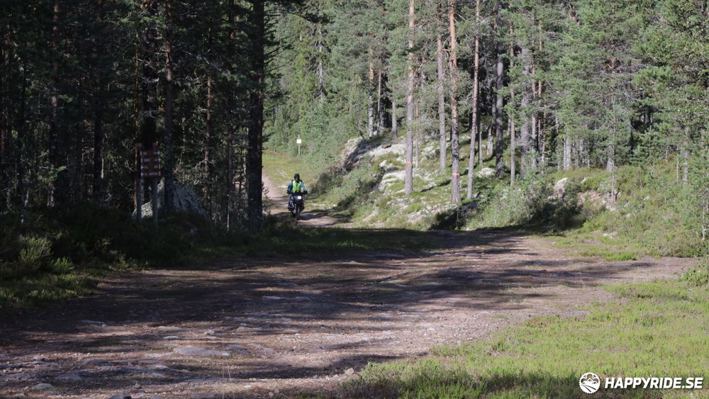 Bild från Cykelvasan 2024