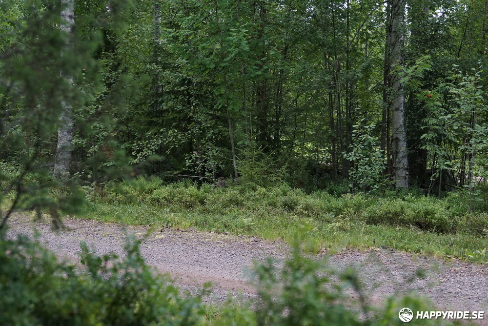 Bild från Cykelvasan 2023 (30)