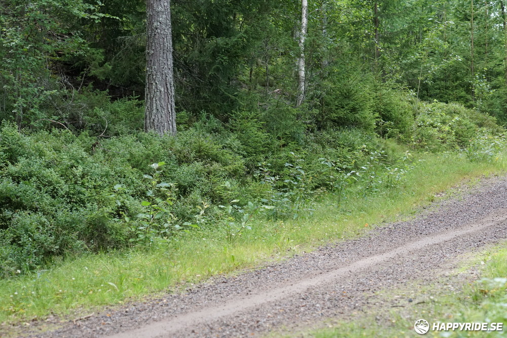 Bild från Cykelvasan 2023 (30)