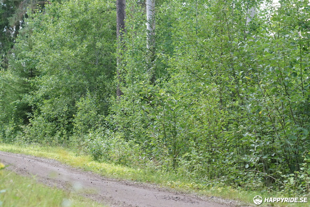 Bild från Cykelvasan 2023 (90)