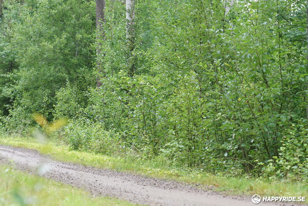 Bild från Cykelvasan 2023 (90)