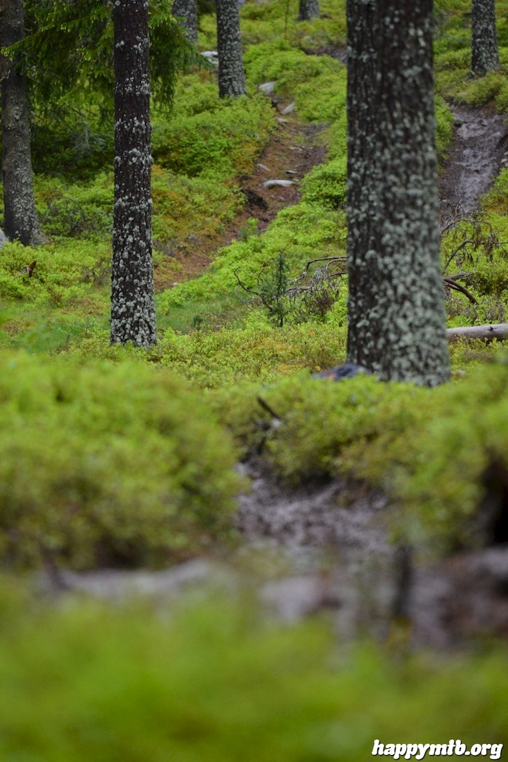 Bild från Enduro Sprint Falun 2015